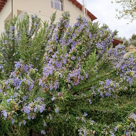 B&B Tenute Lazzarino Sciacca Exterior photo